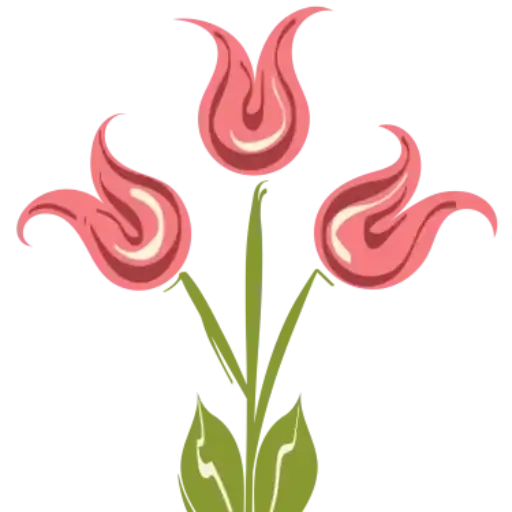 Szekeres Gabriella kineziológus - családállító